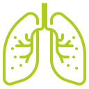 Pulmonology