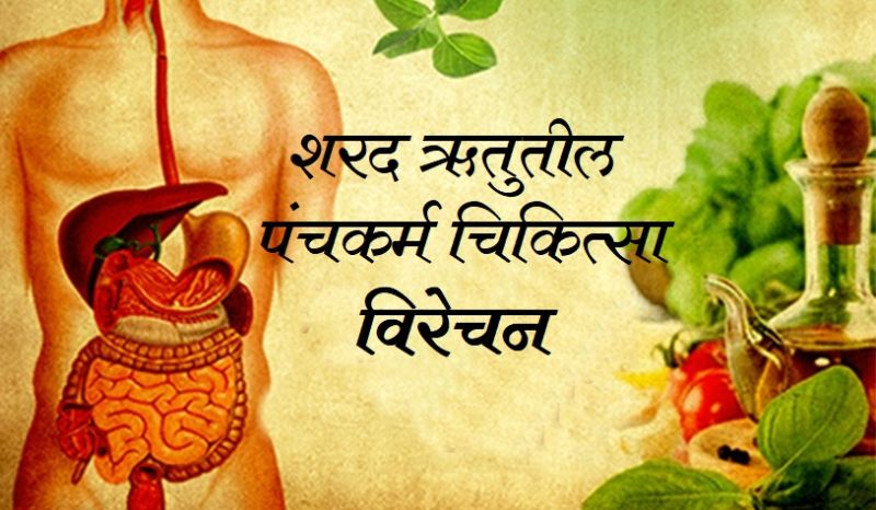 Virechan in Sharad Rhutu शरद ऋतुतील पंचकर्म – विरेचन