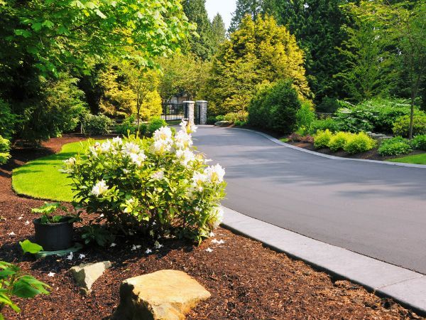 Landscaping